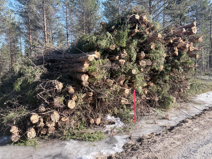 A belated start to a semi-self-hosted journey